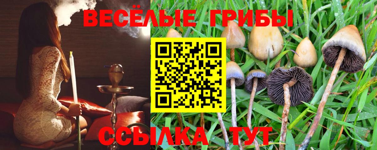 Галлюциногенные грибы ЛСД  Вход с VPN  Псилоцибиновые грибы Psilocybe  Улан-Удэ 